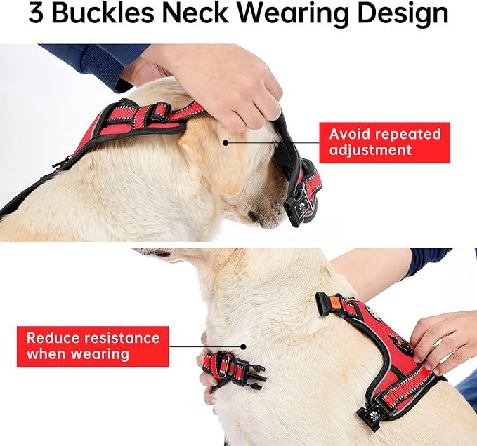 IVY&LANE No Pull Dog Harness for Small Dogs, Dog Vest Harness with Leash, Safety Belt and Storage Strap, Fully Adjustable, 360° Reflective Strip, Soft Handle (Red, S)