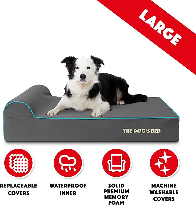 The Dog’s Bed Orthopedic Memory Foam Dog Bed with Headrest, Oxford Fabric, Grey with Blue Trim, L, 6-Inch