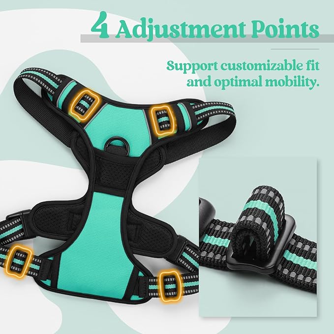 rabbitgoo Dog Harness No Pull with 2 Leash Clips, Adjustable Soft Padded, Reflective Oxford No Choke Pet Vest with Easy Control Handle for Small Dogs, Turquoise, S