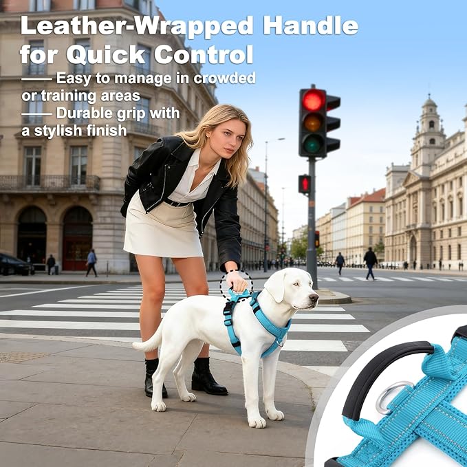 No Pull Dog Harness with Handle, Soft Mesh Padded Adjustable for Small Medium Large Dogs | Reflective Easy Walk Harness with Front Clip for Training, Running & Outdoor (Cyan, XS)