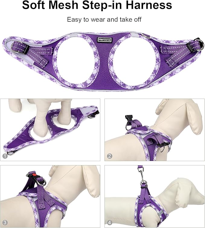 Mercano Soft Mesh Dog Harness and Leash Set, No-Chock Step-in Reflective Breathable Lightweight Easy Walk Vest Harnesses with Safety Buckle for Small Dogs, Cats (XL, Purple)