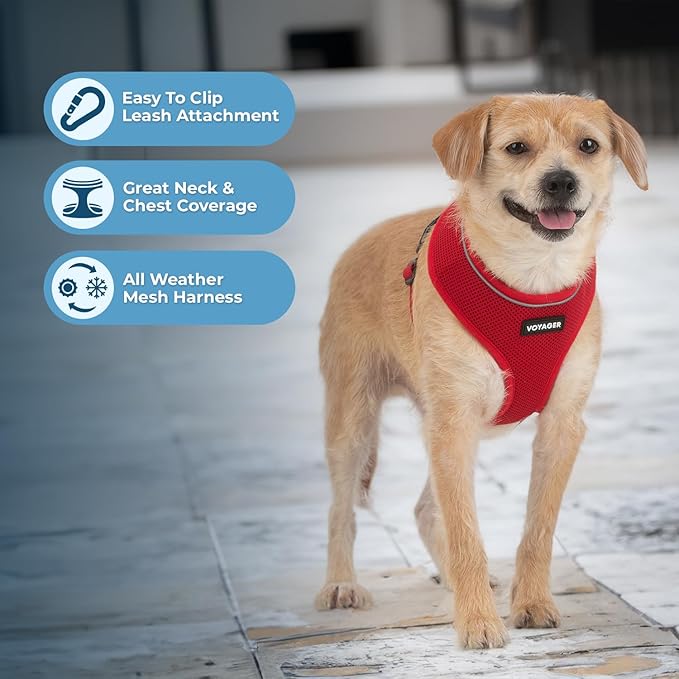 Voyager Aerolite Over The Head Dog Harness, No Pull Breathable Air Mesh Vest, Quick Dry with Reflective Stitching, Adjustable Escape Resistant Harness for Small Medium Large Dogs - Red, X-Small