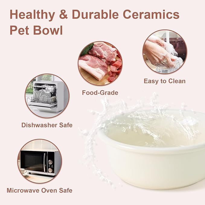 SPUNKYJUNKY Ceramic Elevated Tilted Dog Bowls Bone-Shaped Raised with 2 Height Iron Stand, 4.9'' Dog and Cat Food Water Bowls Set Non-Slip for Puppy Kitten Small Sized Breed - 7 OZ,Beige
