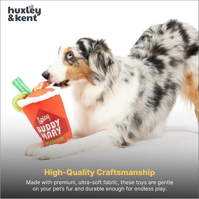Huxley & Kent Funny Dog Toy w/Squeaker – Power Plush Squeaky Dog Toys for Small, Medium & Large Dogs – Soft Stuffed Animal for Indoor Play & Fetch - Buddy Mary, Small