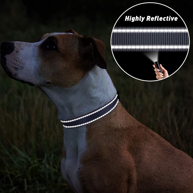 TagME Reflective Nylon Dog Collars, Adjustable Classic Pet Collar with Quick Release Buckle for Small Dogs, Grey, 3/4" Width