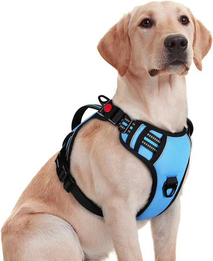 rabbitgoo Dog Harness Medium Sized, No Pull Pet Harness with Soft Padded Handle, Adjustable Reflective Vest with 3 Buckles, Easy Walking Harness with 2 Leash Clips, Light Blue, M