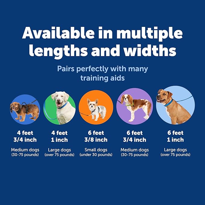 PetSafe Nylon Leash - Chew-Resistant Cat & Dog Behavioral Training Leash - Compatible with Easy-Walk Harness - Traditional-Style Reliable Pet Lead with a Padded Hand Wrap - 3/4" x 4' - Red