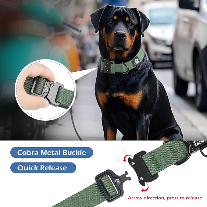 Dog Collars for Small Dogs Christmas Boy Girl - Adjustable, Chew Proof Nylon Collar with Metal Quick Release Buckle and D-Ring for Dog Tags (Dark Green, S)(not Included The Pendant)