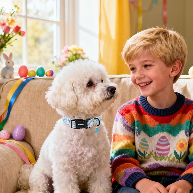 DOGWONG Easter Dog Collar-Cute Blue Easter Bunny Dog Collar, Easter Egg &Rabbit Pet Collars Puppy Collar Gifts with Quick Release Buckle for Girl&Boy Dogs,M