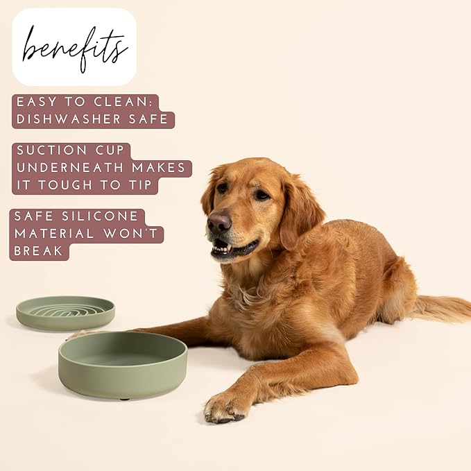 Should We Go? Dog Water Bowl - The Perfect Dish No-Spill, Less Mess Non-Tippable Water & Food Bowl, Silicone with Suction Cup Fits 8 Cups 9.5" Across x 2.5" Tall, Ideal for All Pets, Large-Terracotta