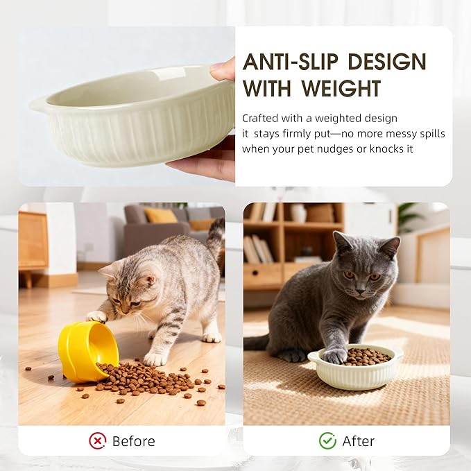 Cat Food Bowl with Handle, 6 inch Ceramic Cat Food and Water Feeder Set, Modern Vertical Texture Design, Kitten Bowls for Indoor Cats and Small Dogs, Microwave Dishwasher Safe, Beige- 2 Pack
