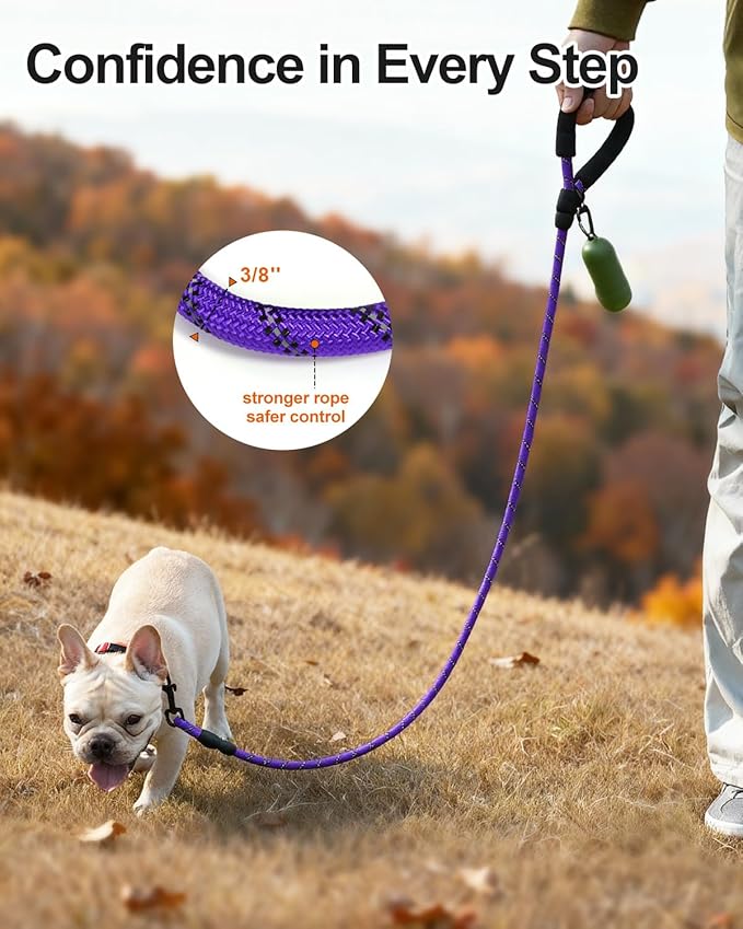 Joytale Dog Leash for Small Dogs, Heavy Duty Nylon Leashes with Comfortable Padded Handle and Highly Reflective Threads, Ideal for Walking and Training, Purple, 6'횞3/8''