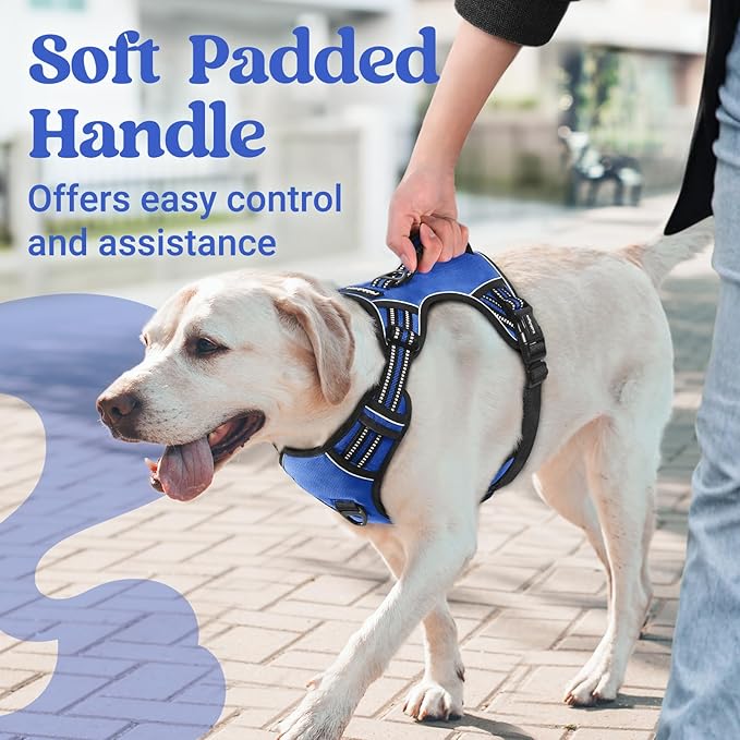 rabbitgoo Dog Harness Medium Sized, No Pull Pet Harness with Soft Padded Handle, Adjustable Reflective Vest with 3 Buckles, Easy Walking Harness with 2 Leash Clips, Blue, XL