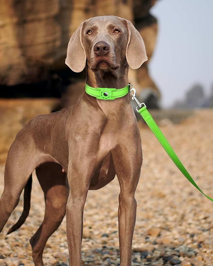 Reflective Dog Leash 4ft Soft Padded Handle Nylon Lead for Small & Medium Dogs, Durable Walking Training Leash for Night Safety (Green,3/4Inch Wide)