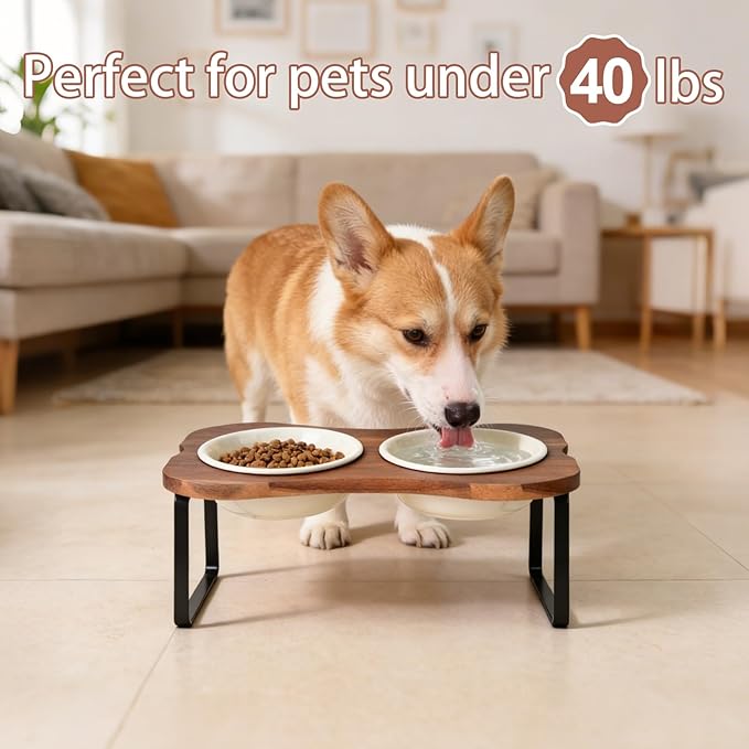 SPUNKYJUNKY Ceramic Elevated Tilted Dog Bowls Bone-Shaped Raised with 2 Height Iron Stand, 6.9'' Dog and Cat Food Water Bowls Set Non-Slip for Small Medium Sized Breed - 20 OZ,Beige