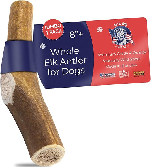 Devil Dog Pet Co. Elk Antlers for Dogs, Jumbo 8"+, 1 Pack, Grade A Long Lasting Chew for Aggressive Chewers, Premium USA Naturally Shed Antler – Healthy, No Odor, Durable Dog Chew