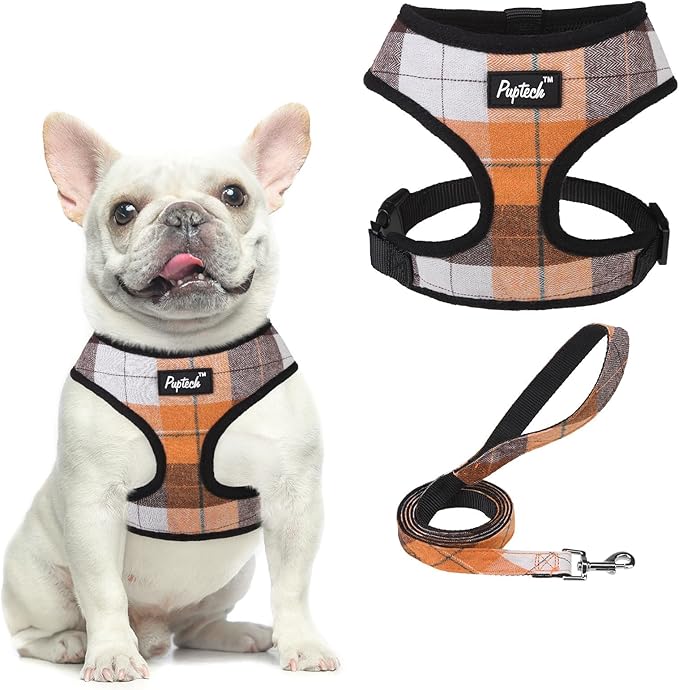 PUPTECK Soft Mesh Dog Harness and Leash Set Pet Puppy Cat Comfort Padded Vest No Pull Harnesses, Orange, L