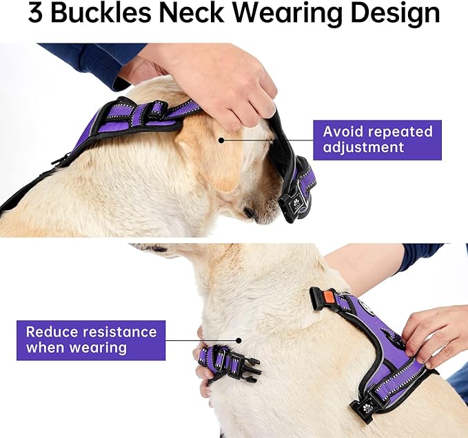 IVY&LANE No Pull Dog Harness for Large Dogs, Dog Vest Harness with Leash, Safety Belt and Storage Strap, Fully Adjustable Harness, 360° Reflective Strip, Soft Handle (Purple, XL)