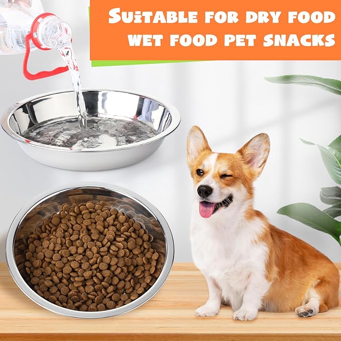 Patelai 12 Pcs Stainless Steel Dog Bowls with Silicone Lids Portable Food and Water Dishes for Pets Sealable Containers for Small Medium Dog Cat Indoor, 6.3 Inch (Red,Blue,Green,Purple)