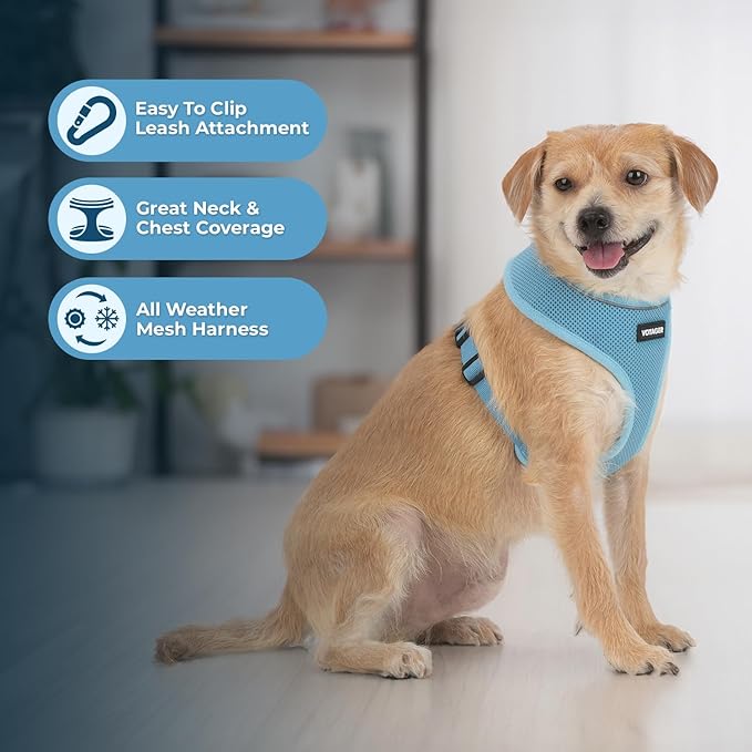 Voyager Aerolite Over The Head Dog Harness, No Pull Breathable Air Mesh Vest, Quick Dry with Reflective Stitching, Adjustable Escape Resistant Harness for Small Medium Large Dogs - Blue, Large