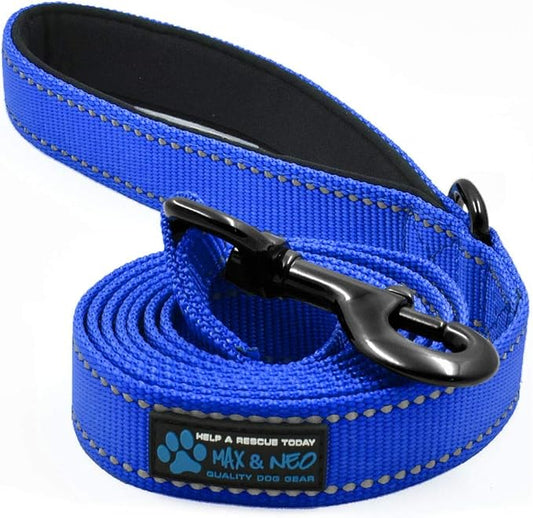 Max and Neo Reflective Nylon Dog Leash - 4 FT x 1 Inch Wide, Blue