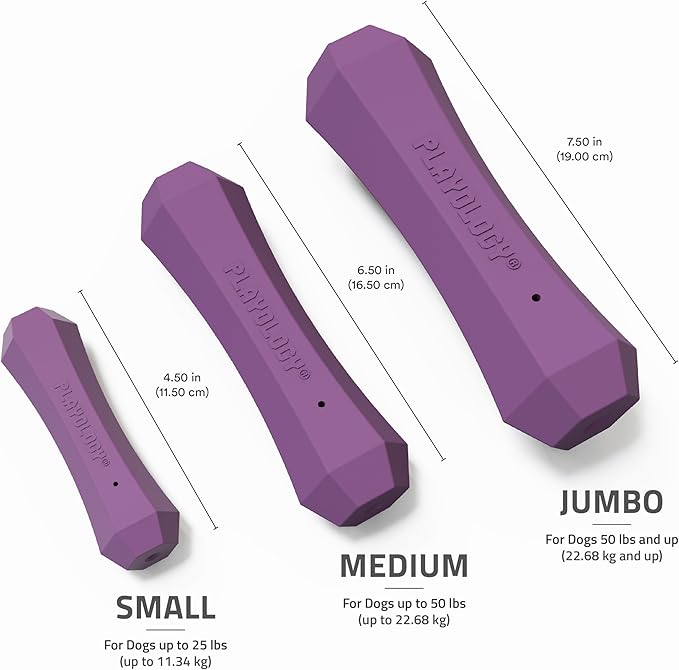 Playology Dog Toys | Durable Squeaky Chew Stick for Dogs | Jumbo Bacon Scented Toy - Easy to Clean and Made from Non Toxic Materials