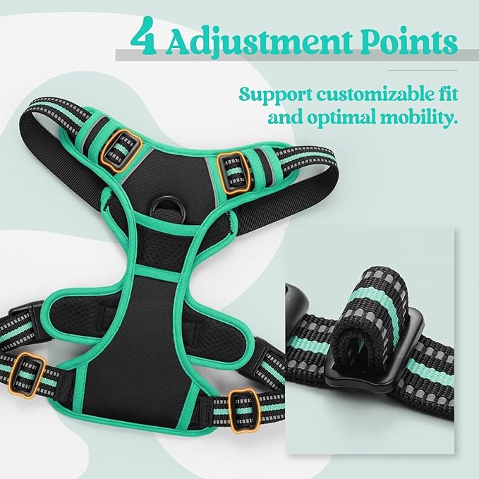 rabbitgoo Dog Harness No Pull with 2 Leash Clips, Adjustable Soft Padded, Reflective Oxford No Choke Pet Vest with Easy Control Handle for Medium Sized Dogs, Black & Turquoise, M