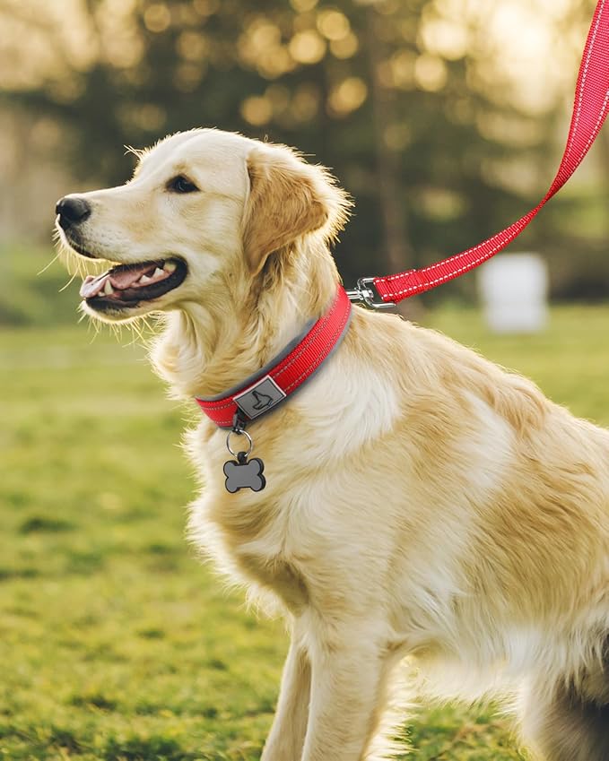Joytale Dog Collar for Large Dogs, Neoprene Padded and Adjustable, Reflective Wide Heavy Duty Pet Collars with Durable Metal Belt Buckle for Walking, Red, L