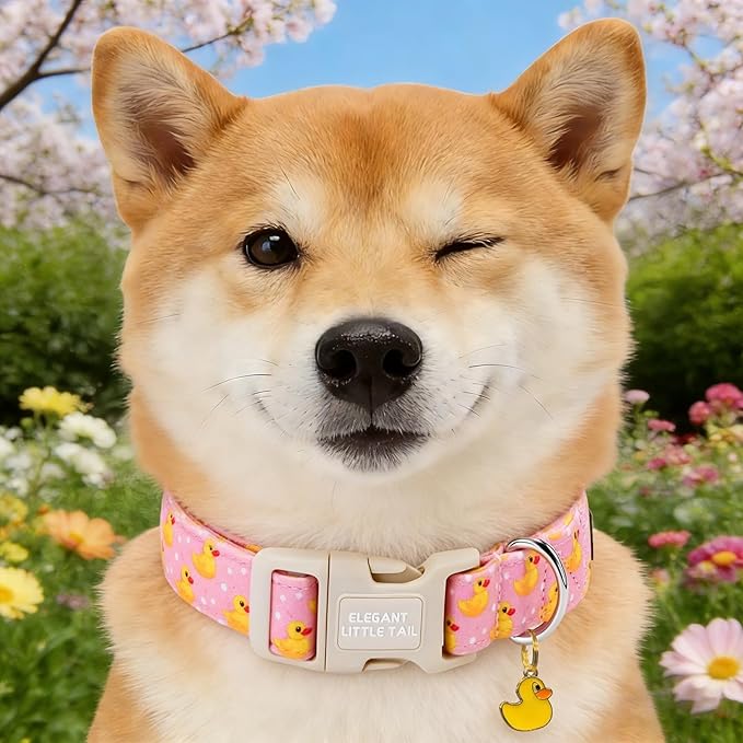 Elegant little tail Dog Collar, Rubber Duck Print Spring/Summer Soft Cotton Puppy Collars Adorable Female or Male Pet Gift Lightweight Plastic Adjustable Dog Collar for Small Dogs