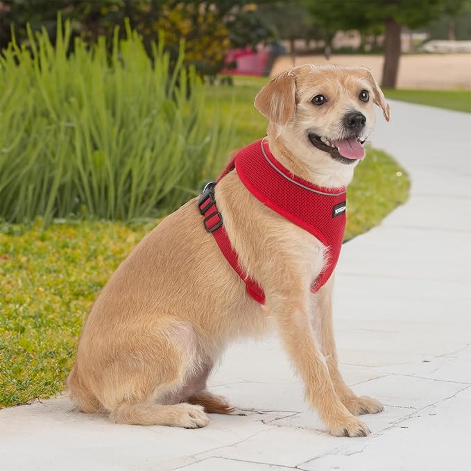 Voyager Aerolite Over The Head Dog Harness, No Pull Breathable Air Mesh Vest, Quick Dry with Reflective Stitching, Adjustable Escape Resistant Harness for Small Medium Large Dogs - Red, Small