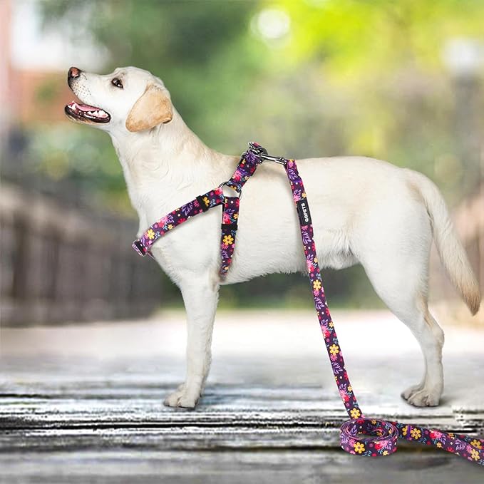 QQPETS Dog Harness Leash Set Adjustable Heavy Duty No Pull Halter Harnesses for Small Medium Large Breed Dogs Back Clip Anti-Twist Perfect for Walking