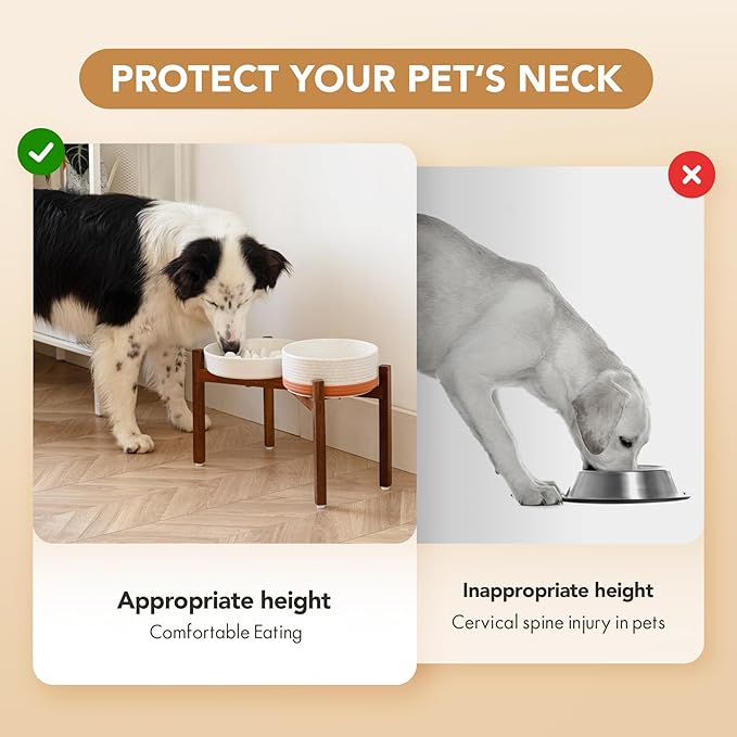 Ceramic 1.6 Cup Raised Slow Feeder Dog Bowl Set, Elevated 7.3inch Bowl and 8.2inch Slow Feeder Dish with Acacia Wood Stand for Medium and Large Dogs (2 x Vanilla White+ Stand)