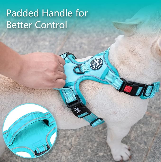 PoyPet No Pull Dog Harness, No Choke Reflective Dog Vest, Adjustable Pet Harnesses with Easy Control Padded Handle for Small Medium Large Dogs(Mint Blue Matching Trim,S)