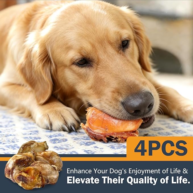 Xuehao Natural Beef Bone Knee Caps，Long Lasting Natural Dog Bones（4 Pack）,for Small, Medium and Large Dogs,Long-Lasting Chews,Protect Your Dog's Teeth
