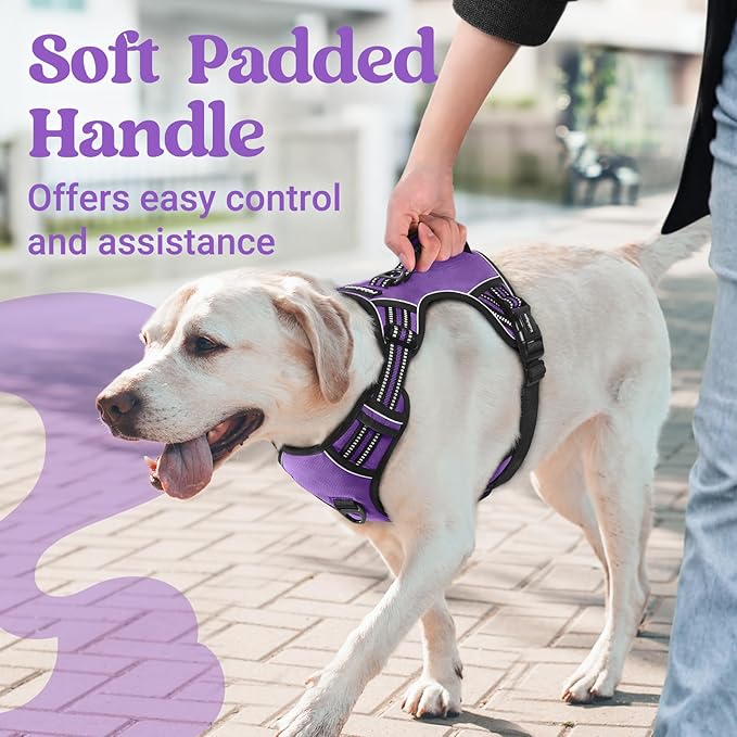 rabbitgoo Dog Harness Medium Sized, No Pull Pet Harness with Soft Padded Handle, Adjustable Reflective Vest with 3 Buckles, Easy Walking Harness with 2 Leash Clips, Purple, XL