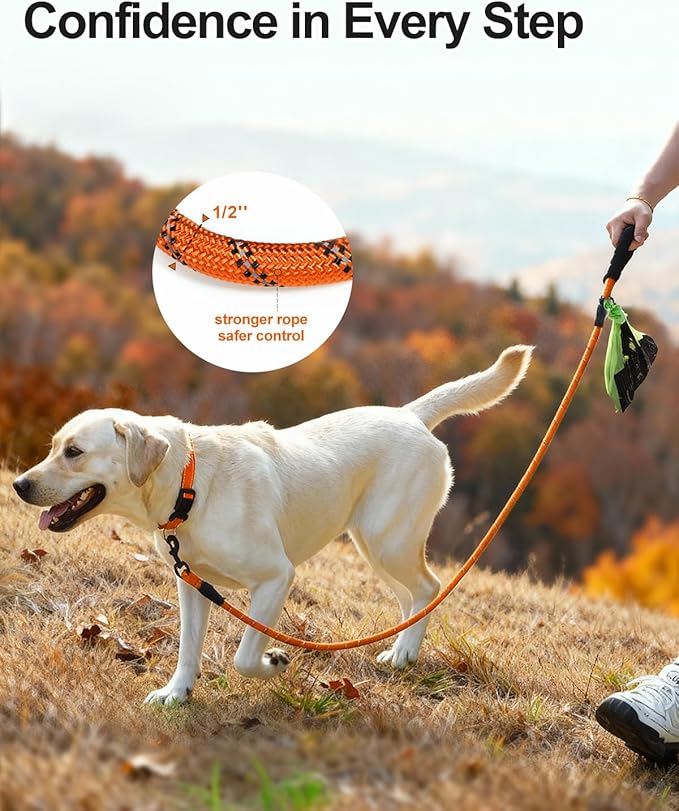Joytale Dog Leash for Large Dogs, Heavy Duty Nylon Leashes with Comfortable Padded Handle and Highly Reflective Threads, Ideal for Walking and Training, Orange, 6'횞1/2''