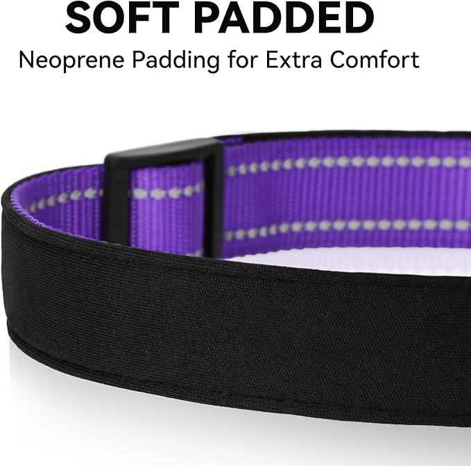 Purple Dog Collar for Mediunm Dogs, Reflective Adjustable Collar with Soft Neoprene Padded, Durable Buckle for Daily Walking,Purple,M, 3/4" Width