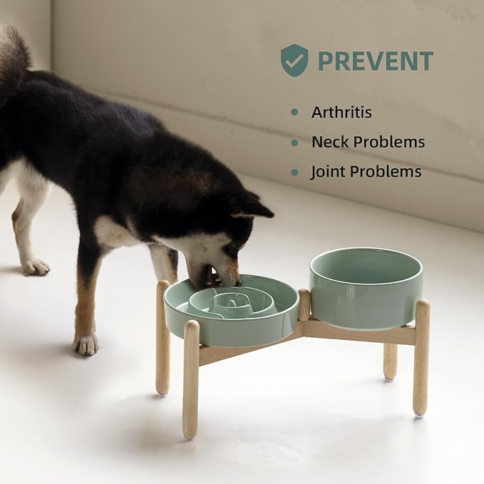 Ceramic Raised Slow Feeder Dog Bowl Set, Elevated 7.3inch Bowl and 8.2inch Puzzle Slow Dish with Wooden Stand for Medium and Large Dog, Anti-Gulping (2X Light Green+ Stand)