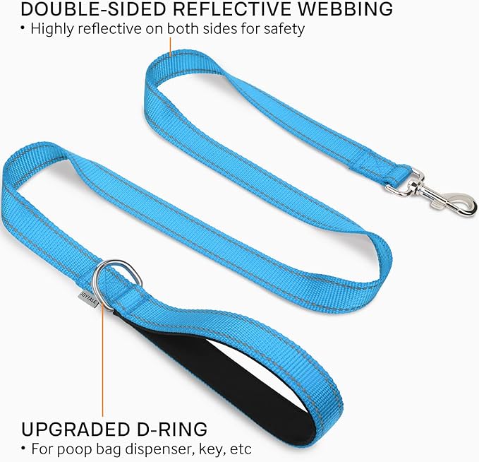 Joytale Dog Leash Heavy Duty for Large Medium Dogs, 4 FT Reflective Nylon Pet Walking Lead with Soft Padded Handle, Durable & Tangle Free for Training, Running & Safety Control, Sky Blue