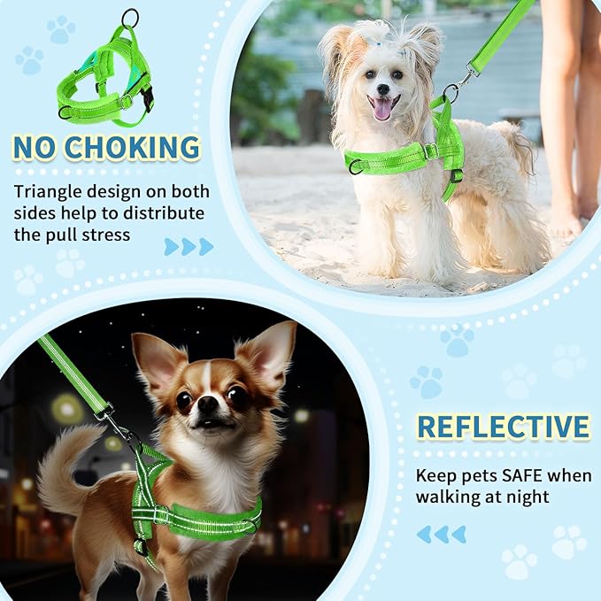 SlowTon No Pull Small Dog Harness and Leash Set, Puppy Soft Vest Harness Neck & Chest Adjustable, Reflective Lightweight Harness & Anti-Twist Pet Lead Combo for Small Medium Dogs (G-Front Clip,XXS)