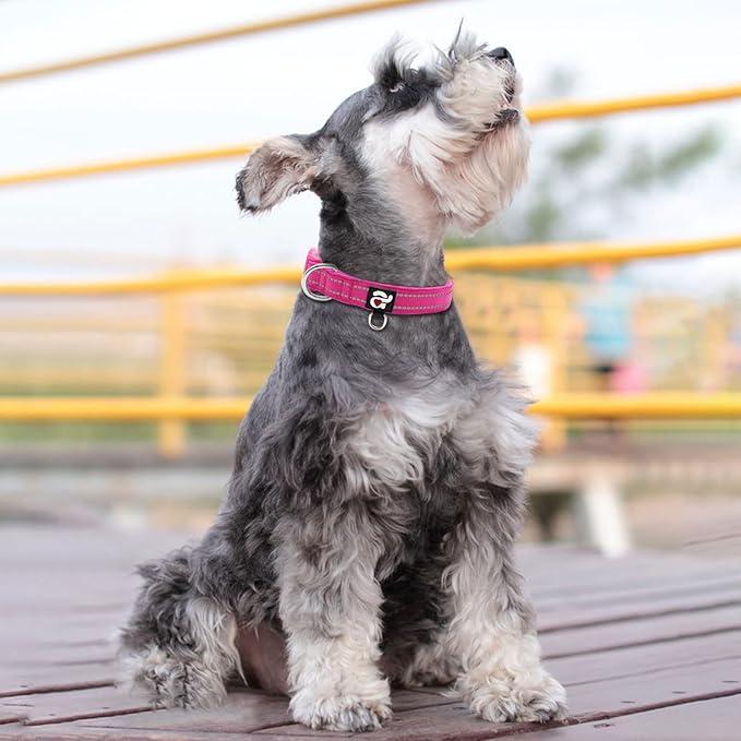 azuza Reflective Dog Collar,Soft Neoprene Padded Pet Collar with ID Tag Ring,Adjustable for Small Dogs,Hot Pink,S