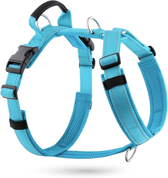 No Pull Dog Harness with Handle, Soft Mesh Padded Adjustable for Small Medium Large Dogs | Reflective Easy Walk Harness with Front Clip for Training, Running & Outdoor (Cyan, XS)