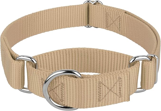 Country Brook Petz - Martingale Dog Collar - Heavy-Duty Training Collar with No Buckle - Service Dog Collar for All Pups - 10+ Warm Colors (Copper Gold, 3/4 Inch, Small)
