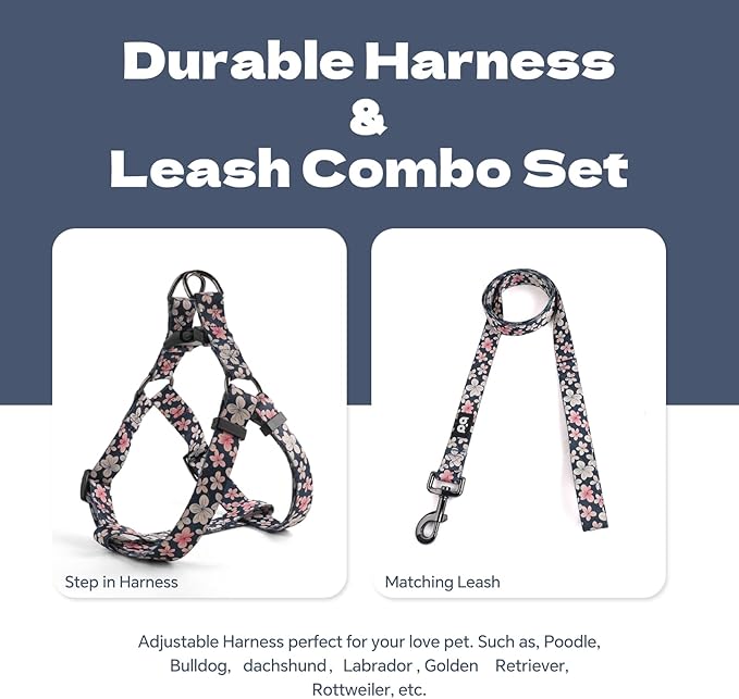 QQPETS Dog Harness Leash Set Adjustable Heavy Duty No Pull Halter Harnesses for Small Medium Large Breed Dogs Back Clip Anti-Twist Perfect for Walking
