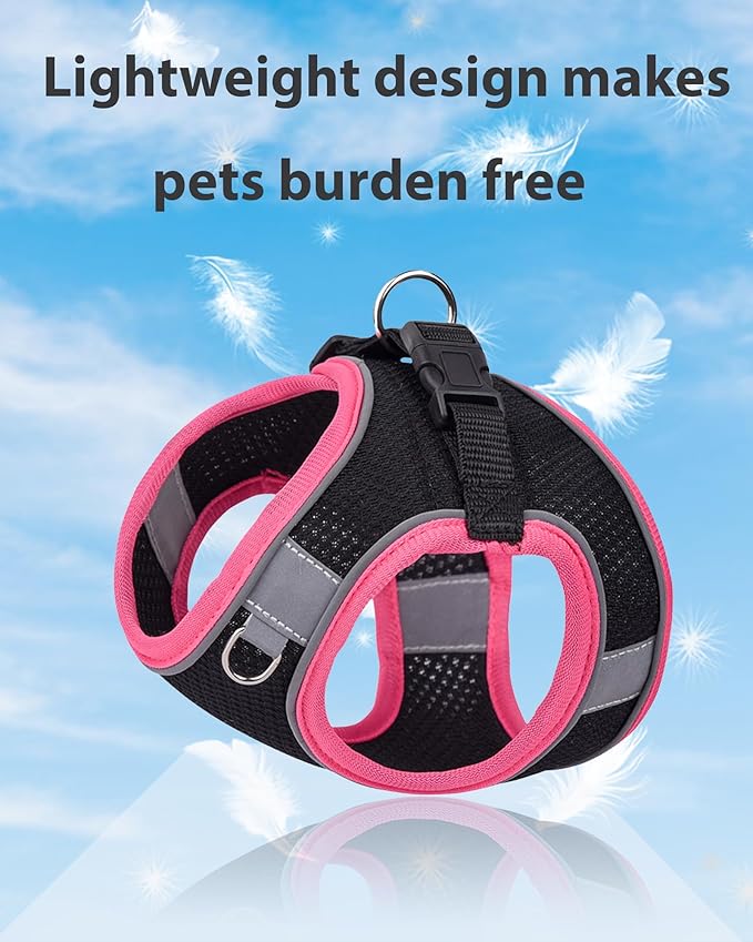 Dog Harness for Small Medium Sized Dog, Step in Puppy Harness and Leash Set Training Walking. (Black, XXS)