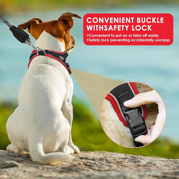 Dog Harness and Leash Set, No Pull Saddle Style Pet Harness, Breathable Mesh Adjustable Reflective Dog Vest for Dogs and Cat Medium Small Harness 2 D-Rings (Black, M)