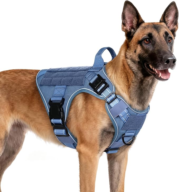 rabbitgoo Tactical Dog Harness Medium Large Sized, No Pull Upgraded Reflective Heavy Duty Molle Vest with Handle, Adjustable Military Service Dog Vest for Walking Hiking Training, Blue, M