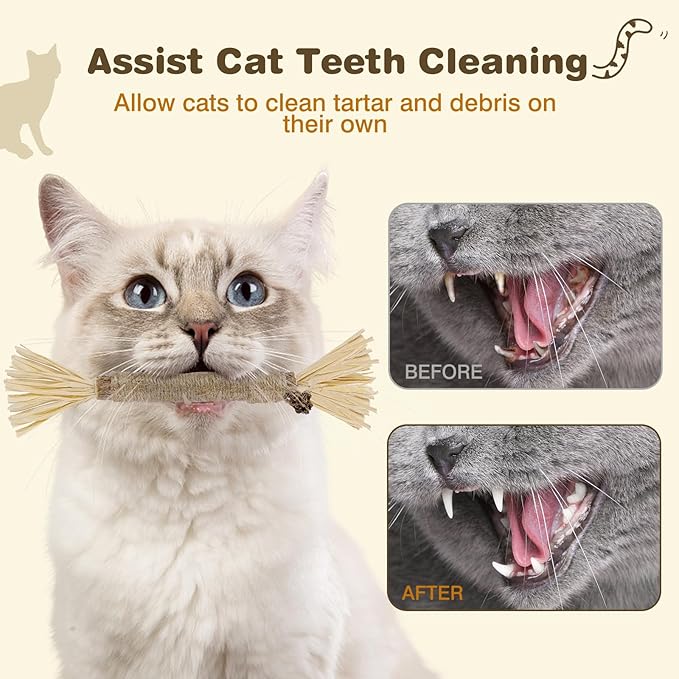 4 Pack Silvervine Sticks for Cats - Cat Chew Toy for Teeth Cleaning, Edible Matatabi Kitty Chew Sticks, Catnip Cat Toys for Indoor Cats (8 Sticks)