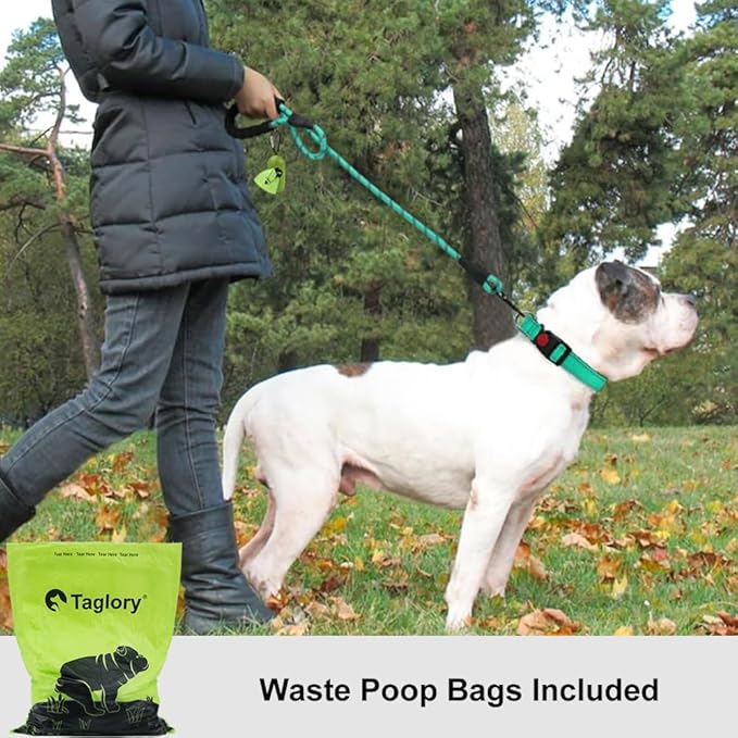 Taglory Rope Dog Leash 5 FT with Comfortable Padded Handle, Highly Reflective Threads Leash for Medium Large Dogs, 1/2 inch, Turquoise