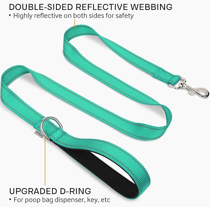 Joytale Dog Leash Heavy Duty for Small Medium Dogs, 5 FT Reflective Nylon Pet Walking Lead with Soft Padded Handle, Durable & Tangle Free for Training, Running & Safety Control, Teal